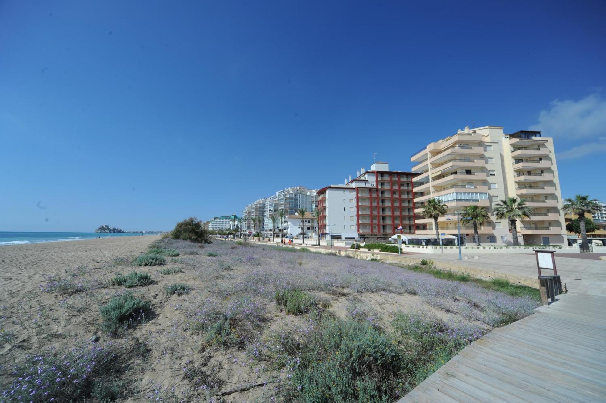 Marina Vistamar Orangecosta Apartment Peniscola Exterior photo